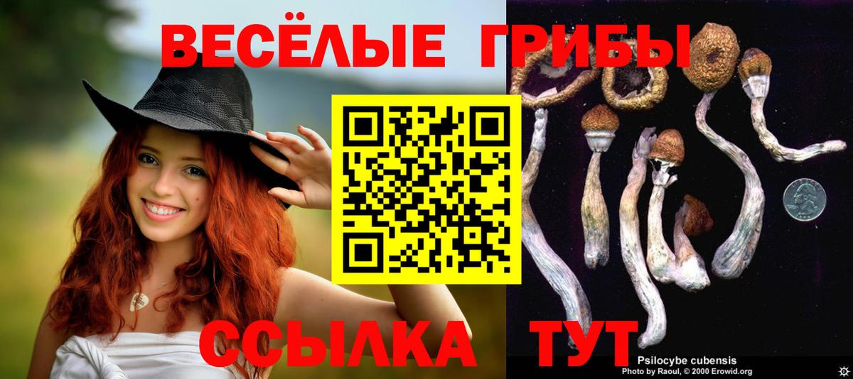 Псилоцибиновые грибы Psilocybine cubensis Туймазы
